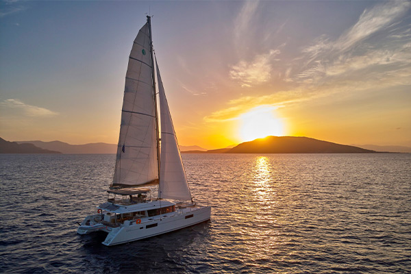 Cruises